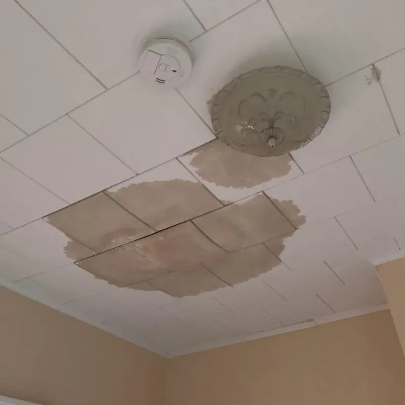 Ceiling Water Damage Repair in Davison County, SD