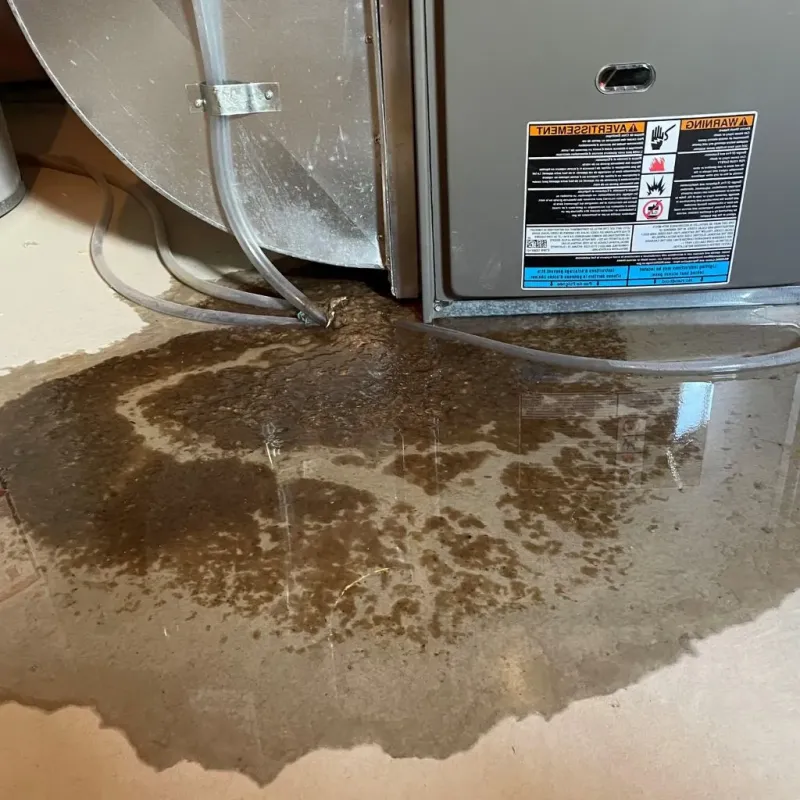 Pipe Burst and Leak Restoration in Davison County, SD