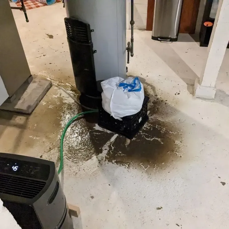 Sewage Backup Cleanup Service in Davison County, SD
